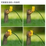 焱焱