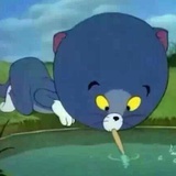 豌豆