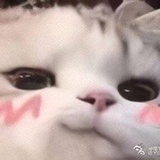 爱谁谁