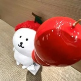 小条大王