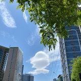 风中的风铃