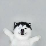 理解了那么久