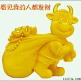 亮子