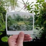 阿晓你爱吗