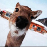 (◞ꈍ∇ꈍ)◞❤娴娴