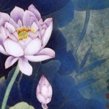 得未曾有