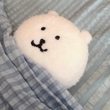 可鱼不可球