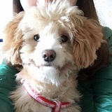 Agnes
