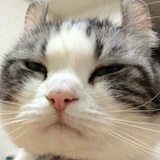 行年