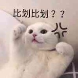 我有一对猫耳朵