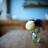 山羊须的老仙者