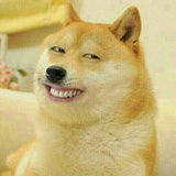 牛