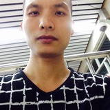 枫树林中有枫叶