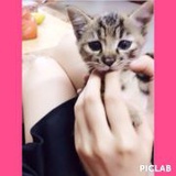 假如瑕不掩瑜