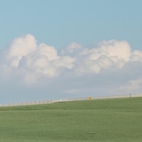 空游无所依
