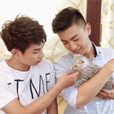 猫猫的爱