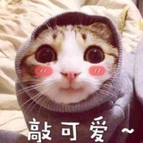 懒懒