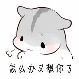 半缘