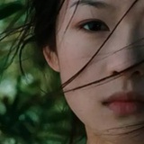 玉娇龙