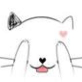 夏猫