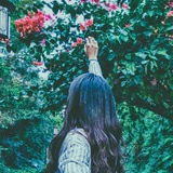 后会无期
