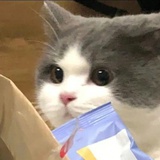 yukiooo