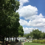 长春又长春