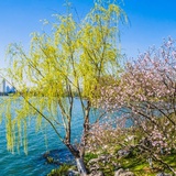 谁来剪月光