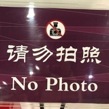 傻特