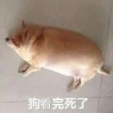 栗子绿