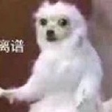 一个平凡的人