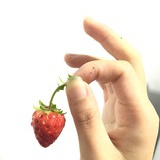 Vina