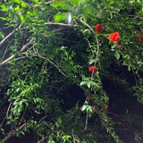 静淌的时光
