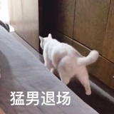 嘟嘟嘟嘟嘟