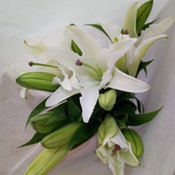 小茉莉