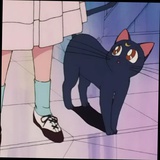 七