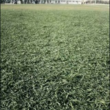 路杰