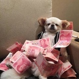 琴逸佑秋穗