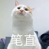 芒茫忙