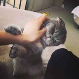 luoyuanlu