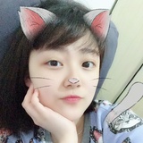 猫是一只怪