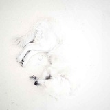 所以王泽备