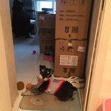 你的益达