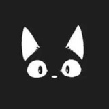 瞌睡猫