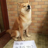 ✨小小✨