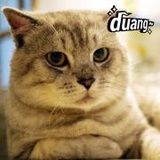 卡卡心中充满爱