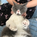 秦小二