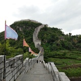周伟杰