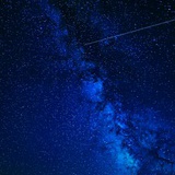 试灯踏雪无意思