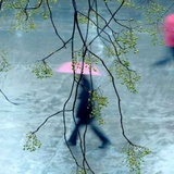 紫郁幽蓝